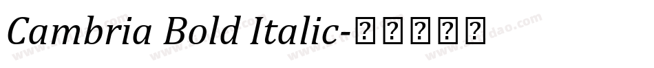 Cambria Bold Italic字体转换